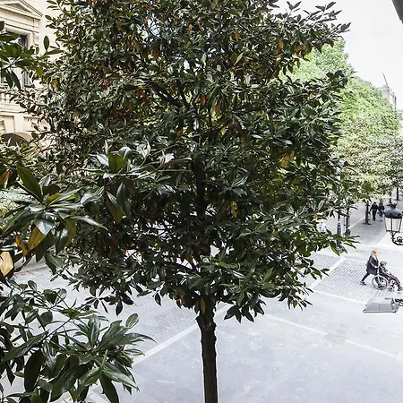 Daire Park Ii - Sshousing