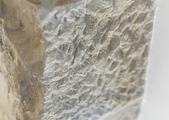 Apartamento Park Ii - Sshousing San Sebastián