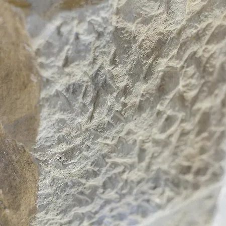 Apartmán Park Ii - Sshousing San Sebastián