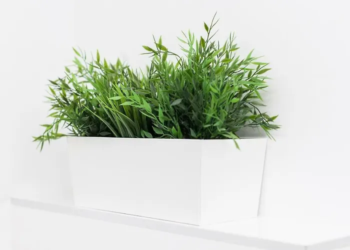 Park Ii - Sshousing San Sebastian